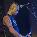 Click to enlarge GutterPunk - Professional Concert Photography